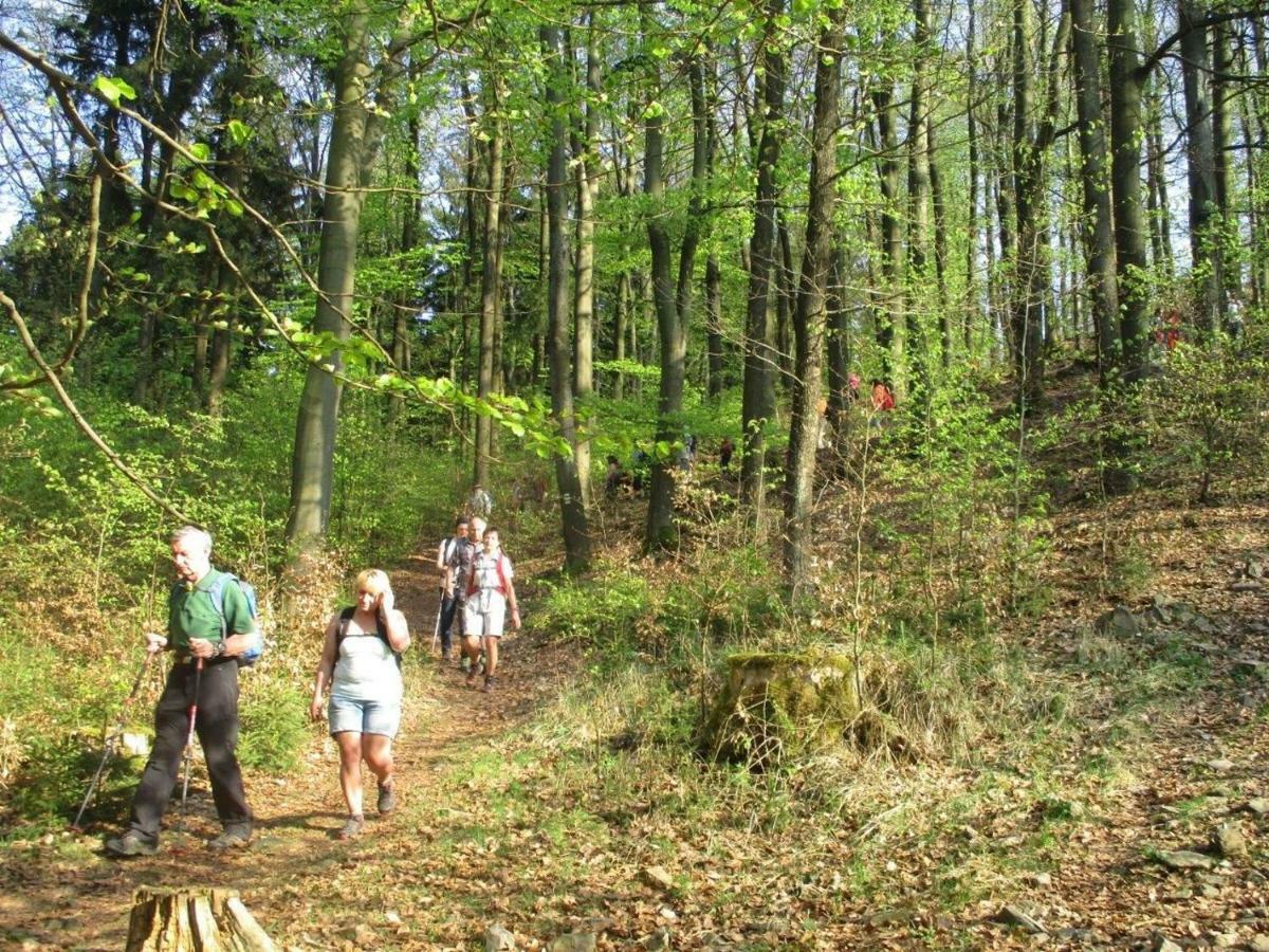 Ferienhaus Ederer Waldmünchen Exteriér fotografie